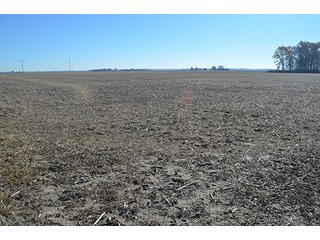 Tract 3 - FARMLAND AUCTION - 165.5+/- ACRES OFFERED IN 5 TRACTS OR COMBINATIONS IN EAST ALLEN COUNTY